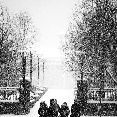 Black and white street photography of the french street photographer David Décamps representing a group of young people walking under the snow storm in Montréal.