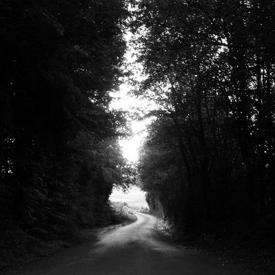 Black and white street photography of the french street photographer David Décamps representing a light at the end of a road in the middle of the trees in Chapaize.