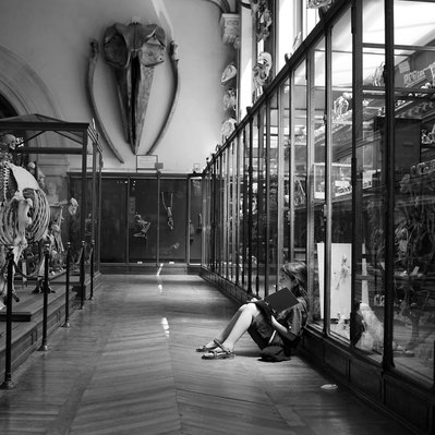 Black and white street photography of the french street photographer David Décamps representing a children drawing in a museum in Paris.