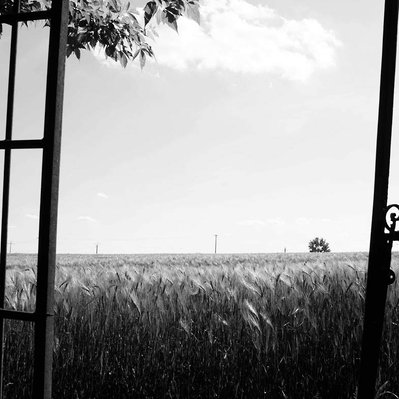 Black and white street photography of the french street photographer David Décamps representing an open gate on the nature in Verdelot.