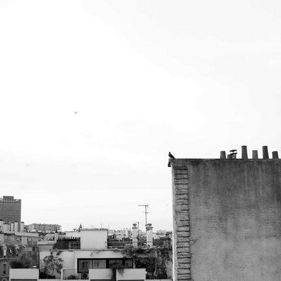 Black and white street photography of the french street photographer David Décamps representing a pigeaon looking at the skyline in Paris.
