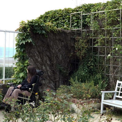 Street photography in colors of  the french street photographer David Décamps representing a woman in a wheelchair looking at the ocean from a garden in Grandville.
