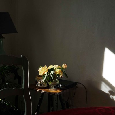 Street photography in colors of the french street photographer David Décamps representing a beautiful yellow flower bouquet in a house in France.