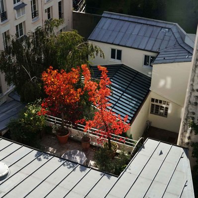 Street photography in colors of the french street photographer David Décamps representing a orange tree on a high garden in Paris.