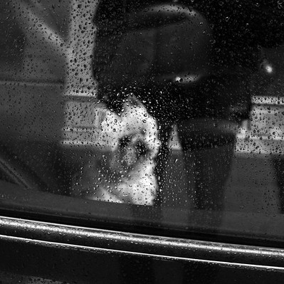 Black and white street photography of the french street photographer David Décamps representing a blurry tiny dog across the window of a car in Paris.