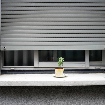 Street photography in colors of the french street photographer David Décamps representing a little plot pant at the window of a grey house in Paris.