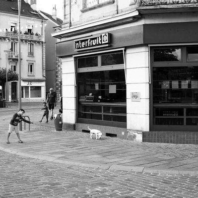 Black and white street photography of the french street photographer David Décamps representing a little boy holding his dog with a leash in Belfort.