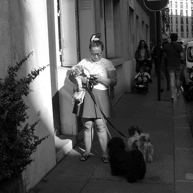 Black and white street photography of the french street photographer David Décamps representing a woman and a dog with the sun in his eyes in Paris.