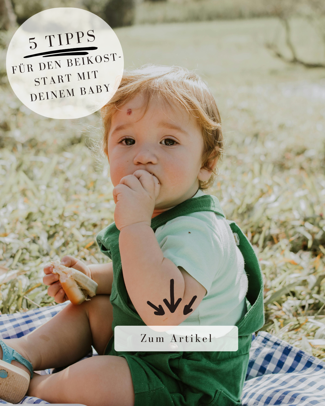 Baby isst selbst. Blogartikel zum Thema Beikost.