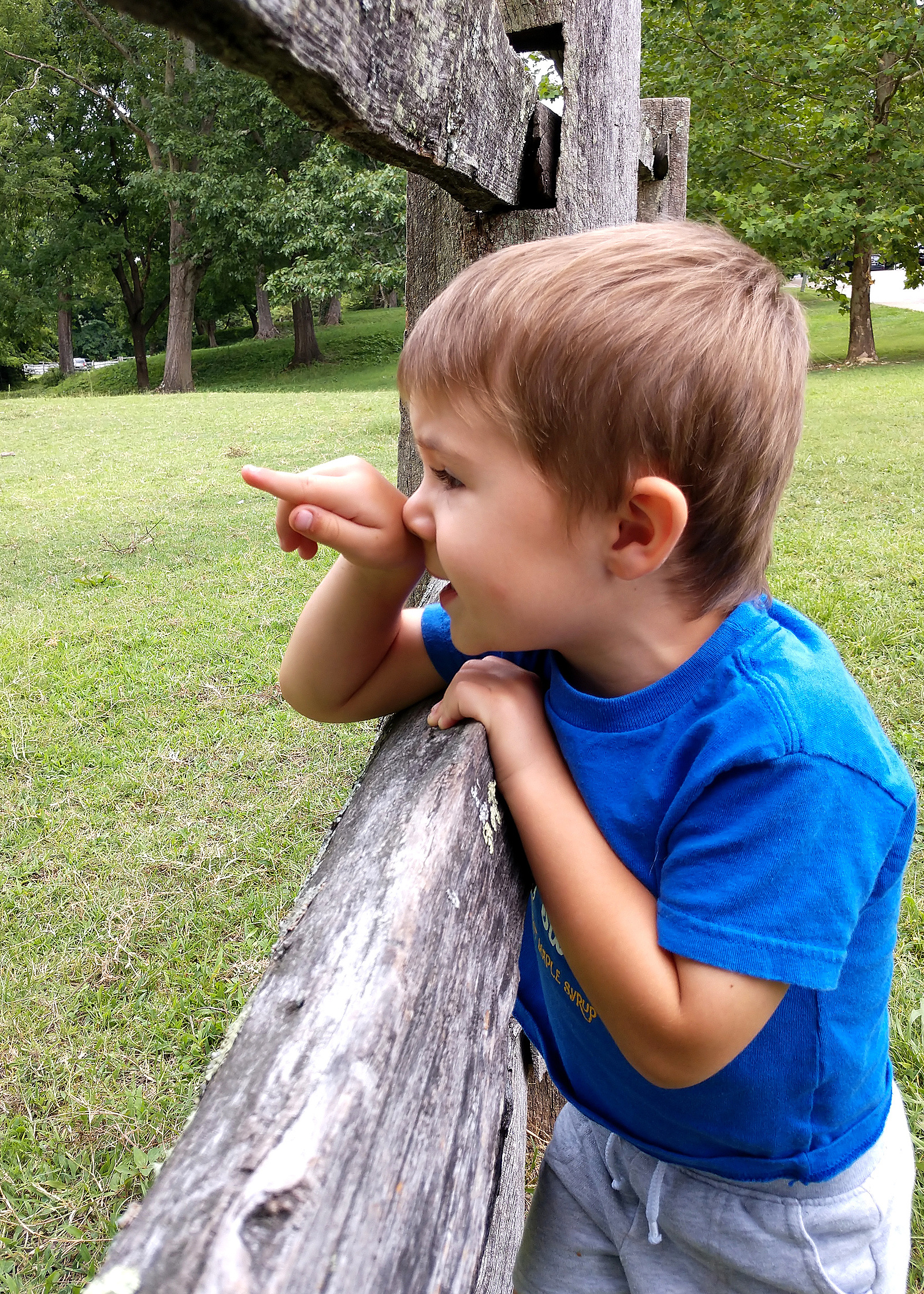 A young boy points at horses in Colonial Williamsburg, VA