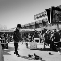 Film photography. Leica, black and white film. Agfa, Rodinal. Stand Development. Euston Pigeon