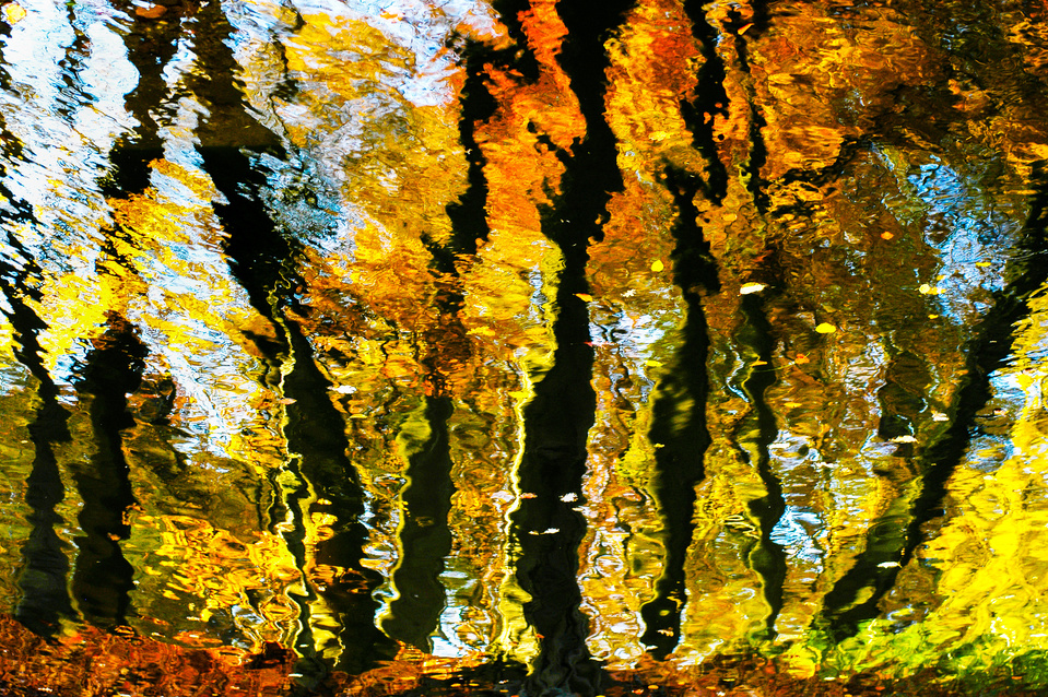 Colorful reflection of trees in a pond in Germany