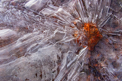 Pebble frozen as seen in an abstraction of ice in Santa Fe, NM