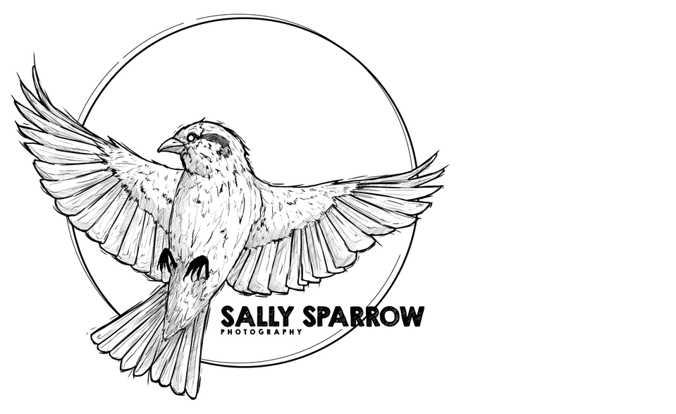 SallySparrow Photography 
