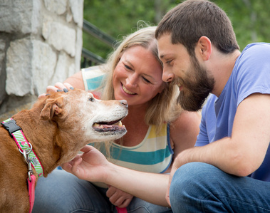 We enjoy working with pets of all ages, and our Celebration of Life sessions are perhaps our most important session that we offer. Capturing memories and moments with our pets so that they can live on in our hearts and minds for always.