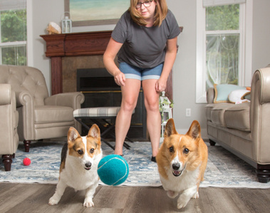 An in-home photo session is the best way to capture natural moments with your pets enjoying their day to day activities and playtime with their people! 