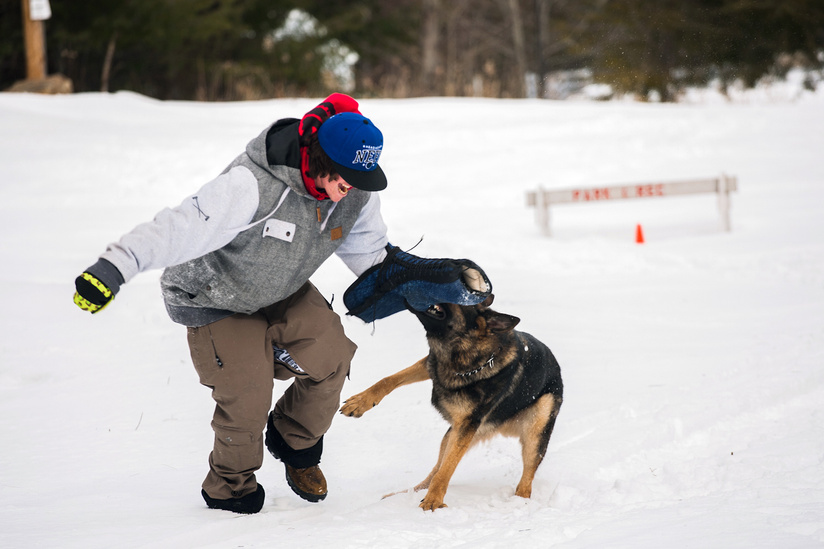 Ted's best friend from his home town is a cop. he let brandon get mauled by the dog