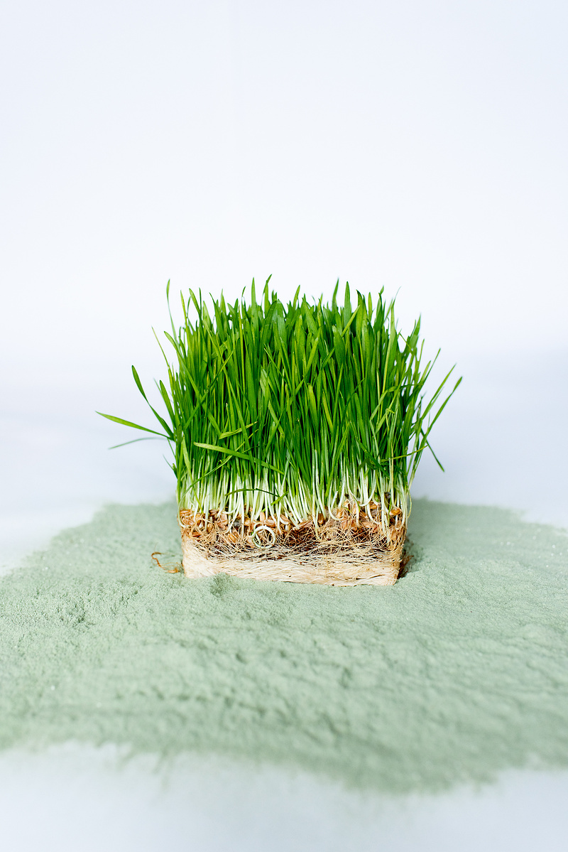 Portland Product Photographer Briana Cerezo Product Photography Supplement Photography Green Drink PDX Product Photographer