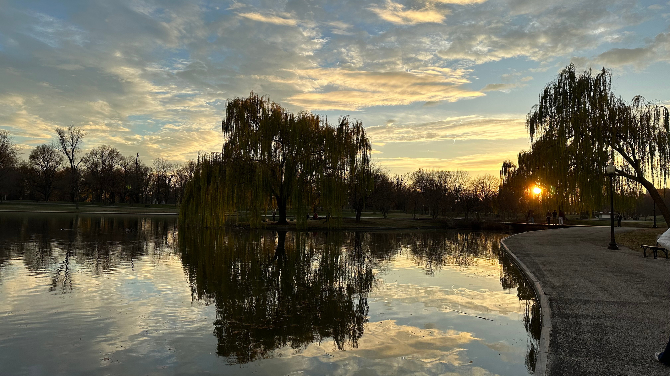 Carp Pond, Constitution Gardens in D.C.