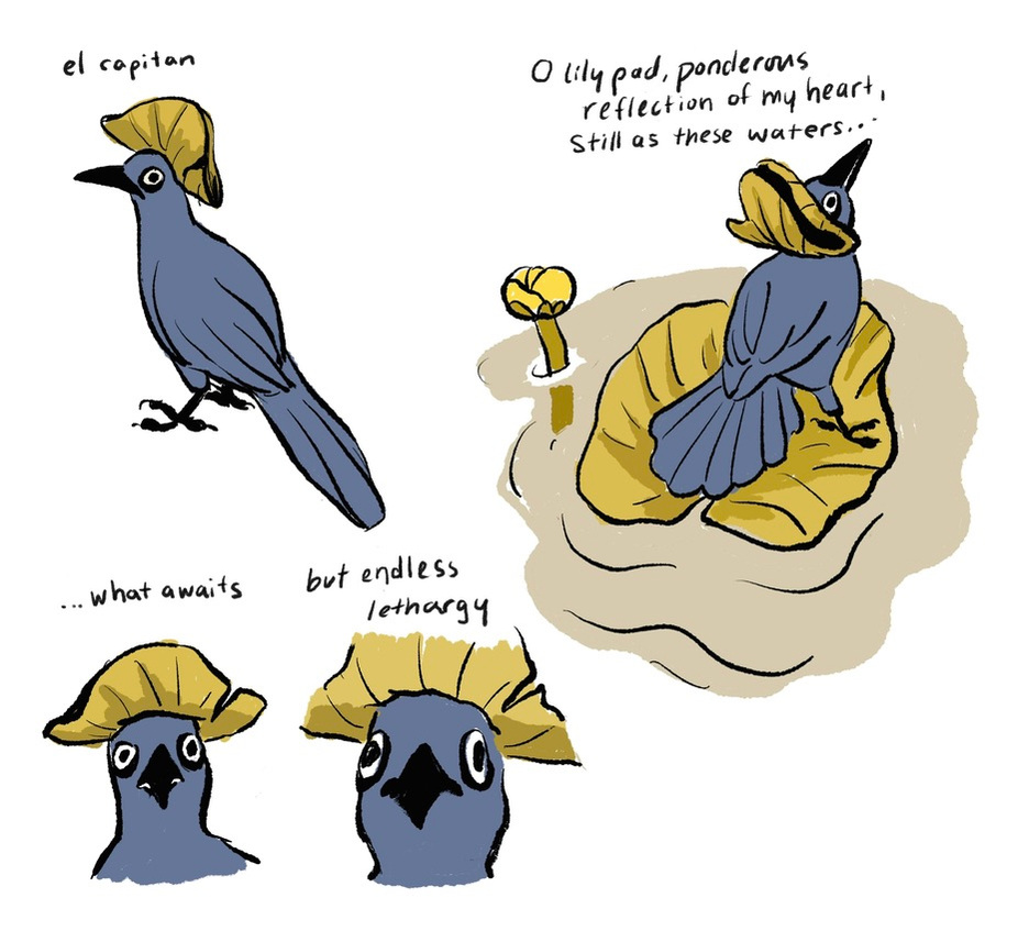 grackle with bicorn hat