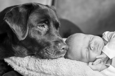 Dierenfotograaf uit Sliedrecht MaxGraphy heeft geduld en is een slimme fotograaf.