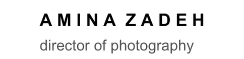 Amina Zadeh's Portfolio