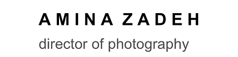 Amina Zadeh's Portfolio