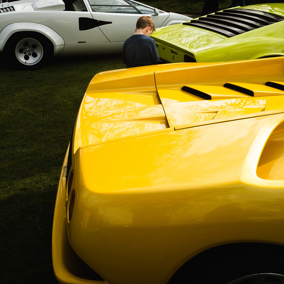 Amongst the Lamboghini's