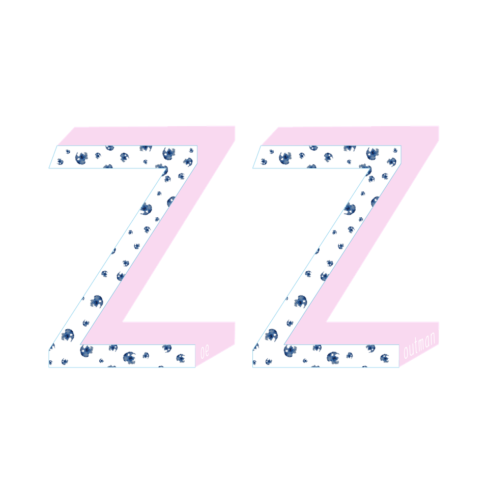ZZ Allround styling