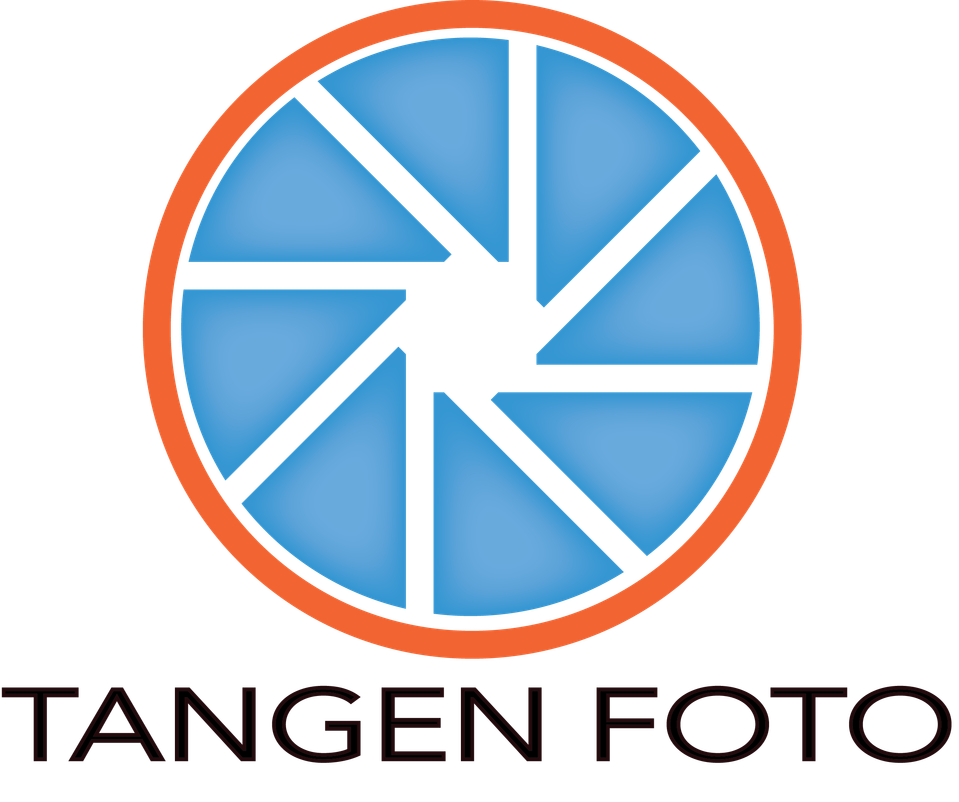 Ole Edvin Tangen