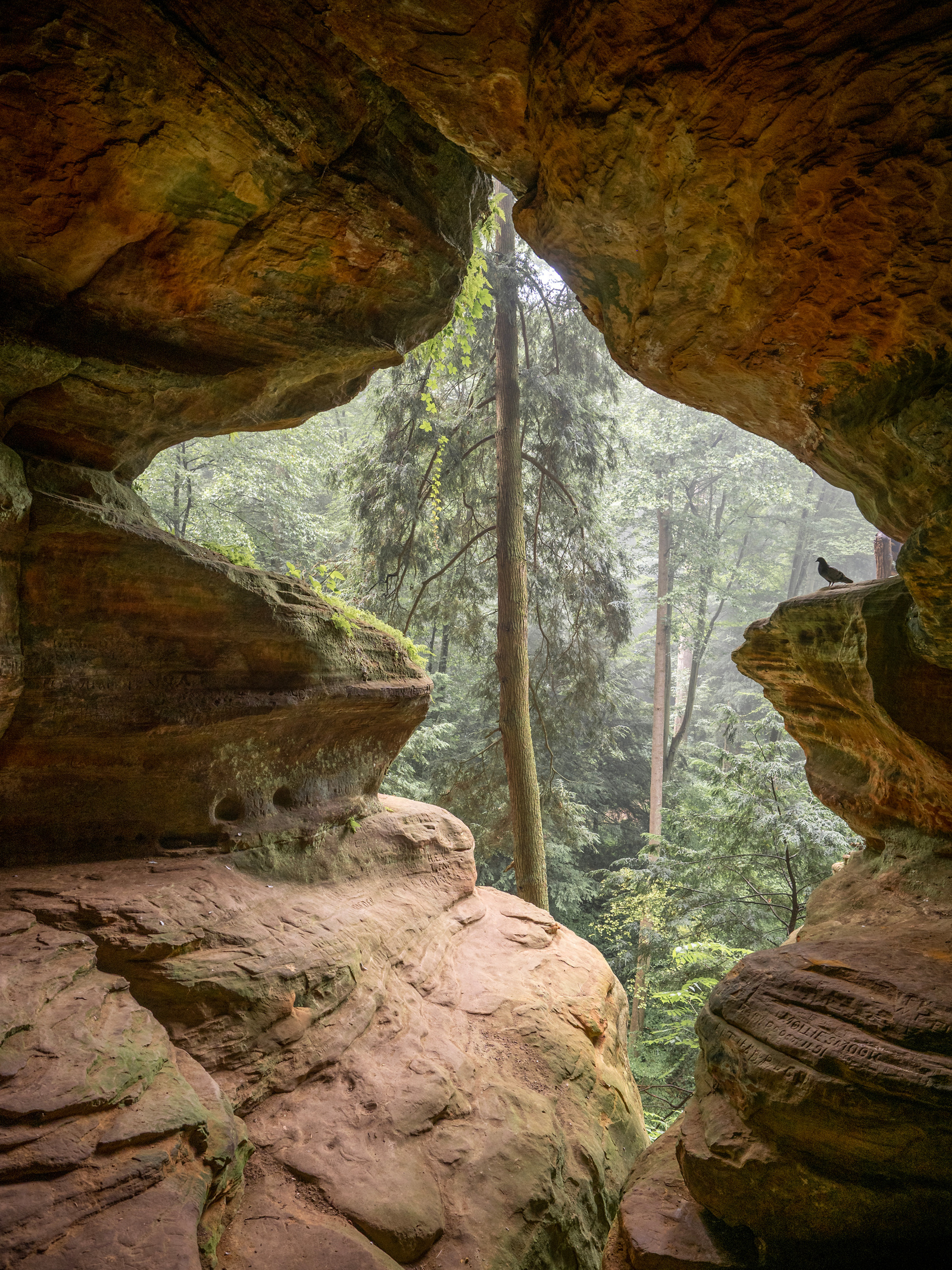 Rock House window view, Hocking Hills, Ohio