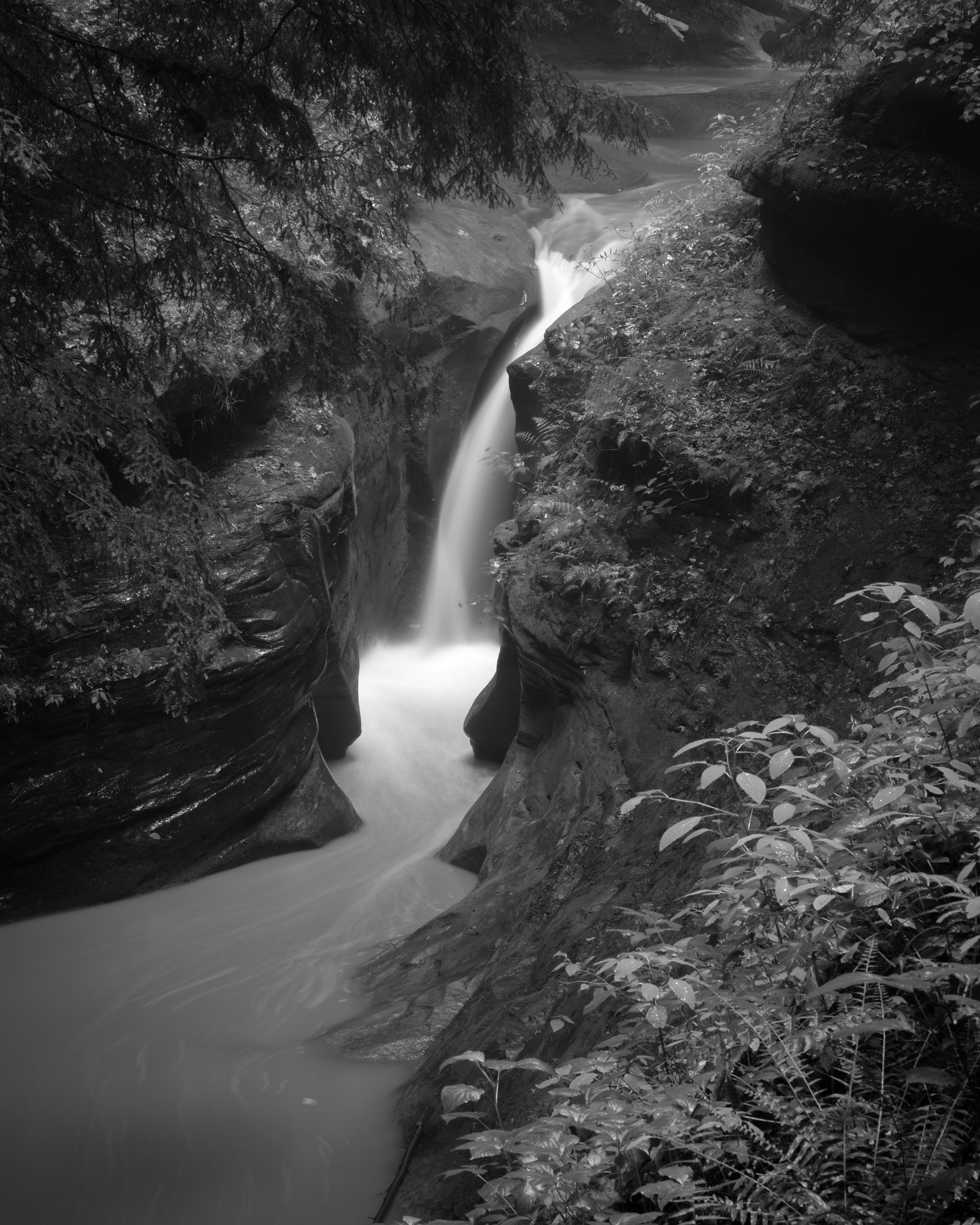 Robinson's Falls