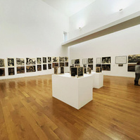Exposición "Por una biología de la imagen" en el Centro Gallego de Arte contemporáneo