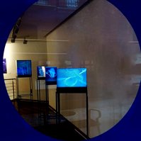 Exposición "Cajas luminosas" de Diego Moya, comisariada por Zara Fernández de Moya, en la Galería Aurora Vigil-Escalera (Gijón)