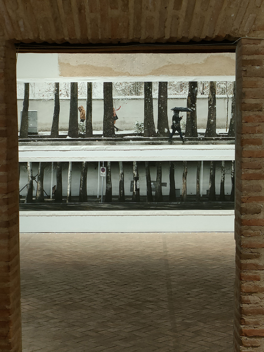 Exposición La Acera, de Asghar Farhadi, en la Alhóndiga de Segovia, comisariada por Zara Fernández de Moya