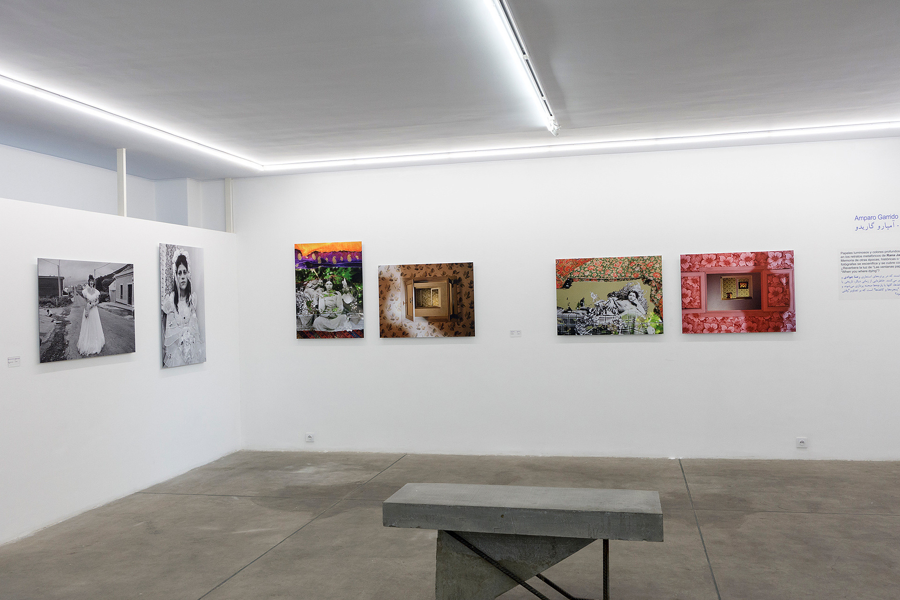 Exposición Miradas Paralelas. Irán-España: fotógrafas en el espejo en la Silk Road Gallery de Teheran
