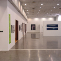 Exposición Afinidades, coordinada por Zara Fernández De Moya