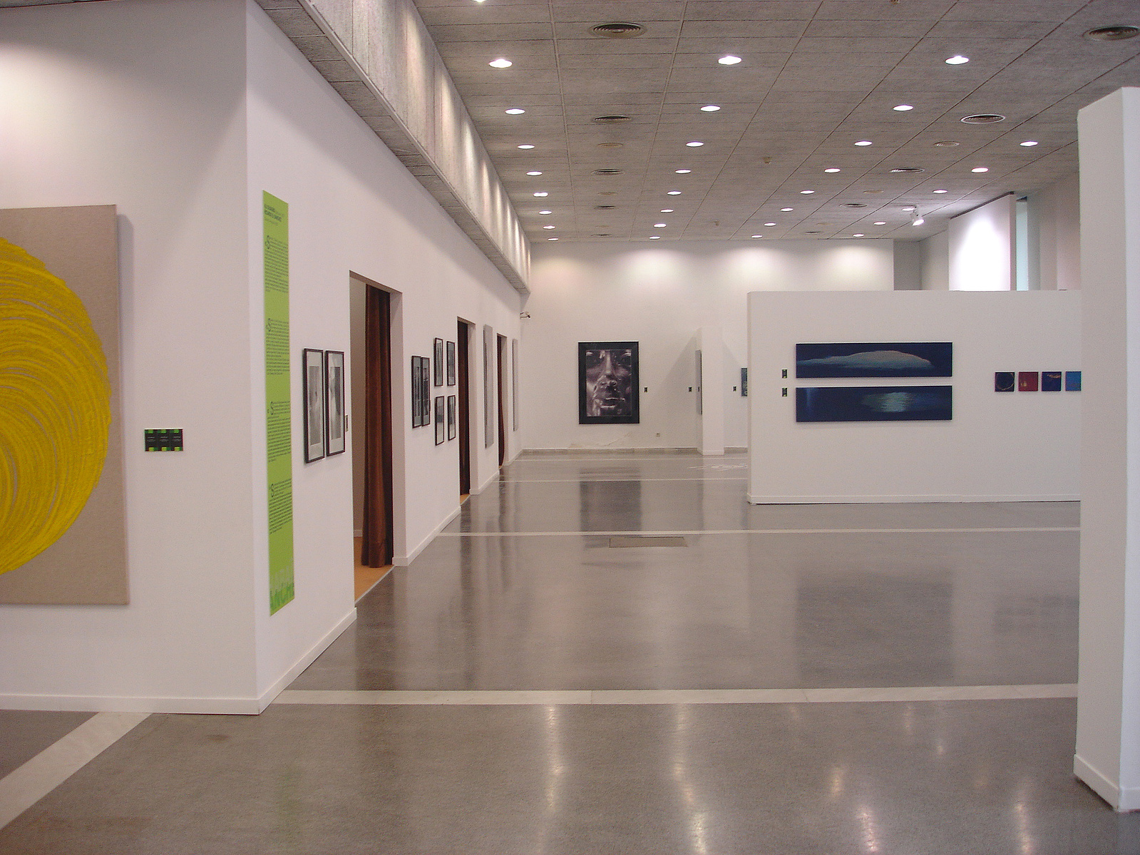 Exposición Afinidades, coordinada por Zara Fernández De Moya