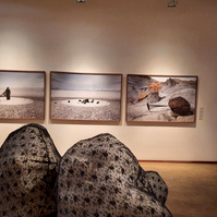 Exposición "Trilogía del Alma" de Soledad Córdoba en la Fundación Vila Casas