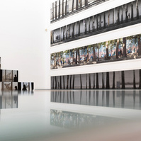 Exposición La Acera, de Asghar Farhadi, en Santiago de Compostela. Centro Galego de Arte Contemporánea, comisariada por Zara Fernández de Moya