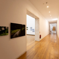 Exposición La Acera, de Asghar Farhadi, en Santiago de Compostela. Centro Galego de Arte Contemporánea, comisariada por Zara Fernández de Moya