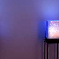 Exposición "Cajas luminosas" de Diego Moya, comisariada por Zara Fernández de Moya, en la Galería Luis Burgos de Madrid