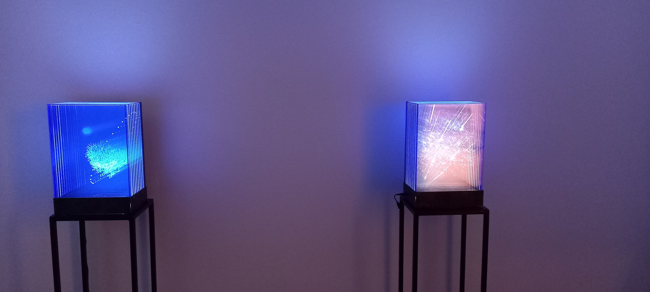 Exposición "Cajas luminosas" de Diego Moya, comisariada por Zara Fernández de Moya, en la Galería Luis Burgos de Madrid