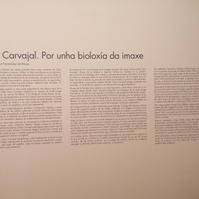 Exposición "Por una biología de la imagen" en el Centro Gallego de Arte contemporáneo