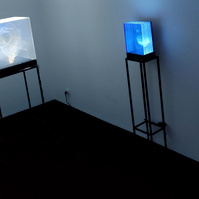 Exposición "Cajas luminosas" de Diego Moya, comisariada por Zara Fernández de Moya, en la Galería Luis Burgos de Madrid