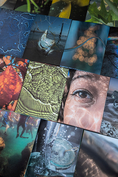 Inner Tidal Zones Zines