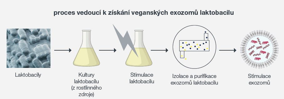 Exozomy laktobacilu vykazují potenciál s ohledem na podporu funkce bariéry pleti a její omlazení, protože jsou nosiči bioaktivních molekul, které pomáhají posílit zdraví pleti a její odolnost. Více v našem blogovém článku. 