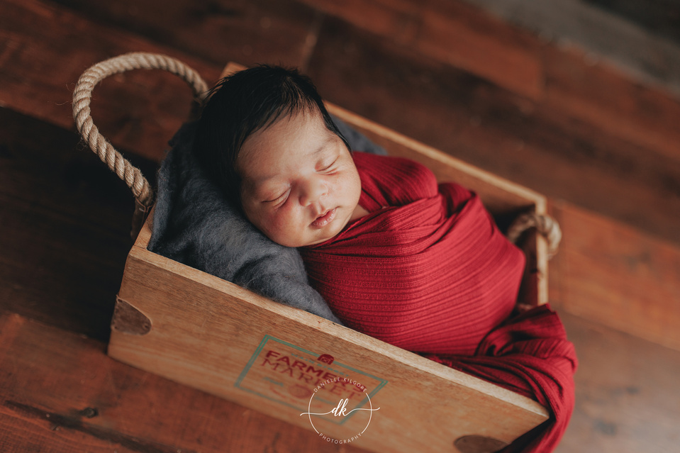 Guelph newborn photography