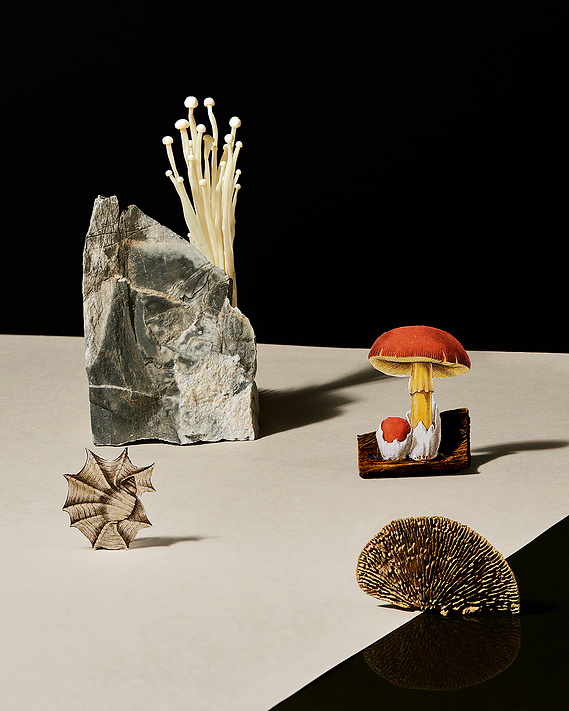 Lucy Leroy Photographe 
@lucy_leroy_marie
Commercial; Still Life; Beauty; Packshoot; Work; Clients; Natural; Skincare; Bio; Cosmetic Photography; Texture; Selfcare; Portrait; Brand; Photographer; Photo studio; Model; Agency