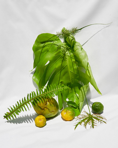 Lucy Leroy Photographe 
Paris
lucyleroy.com
@lucy_leroy_marie
Reportage, Costa Rica, Documentaire, Paysage, Nature, Environnement, écologie, plantes, still life, composition 